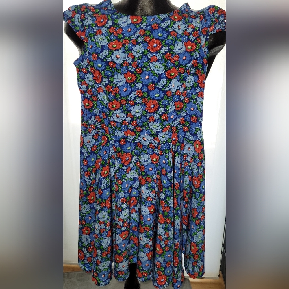 Kids Floral Blue & Red Fit-and-Flare Dress